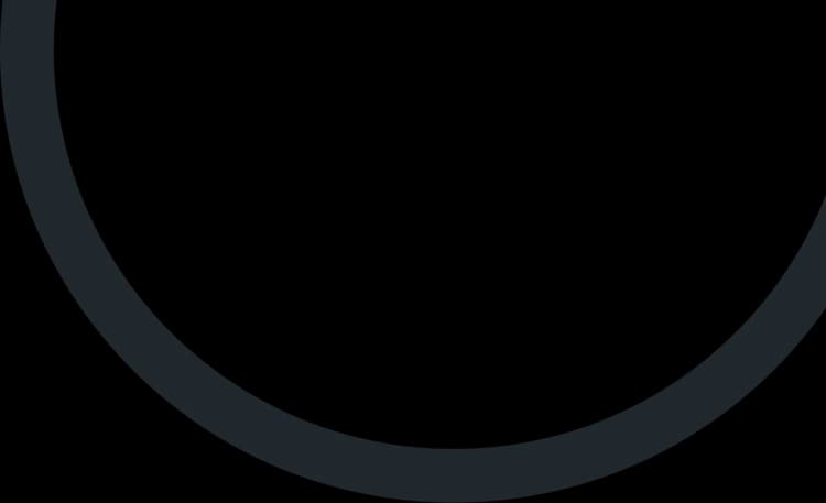 Youthexperienceprogram-cta-ornament